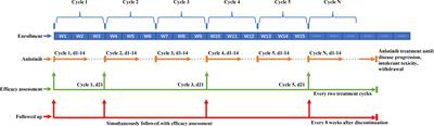 Anlotinib in Chinese patients aged ≥70 years with advanced non-squamous non-small cell lung cancer without prior chemotherapy: a multicenter, single-arm pilot trial